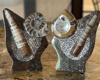 2pc Ammonite Orthoceras Fossil Natural Stand 5.5in H x 4in