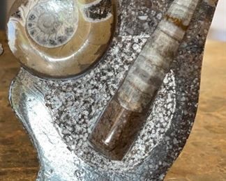 2pc Ammonite Orthoceras Fossil Natural Stand 5.5in H x 4in