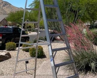 Werner 10ft Aluminum Ladder 310