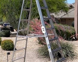Werner 10ft Aluminum Ladder 310