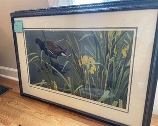#107	Art	Robert Bateman " Gallinule Family" - 1981 Signed Lim. Ed. 379/950 - 35x24 - Framed	 $ 125.00 
