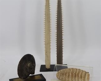 Lot Of Antique Specimen  Saw tooth and more Estimate $300-$500
