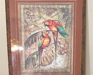 Large framed parrot print.