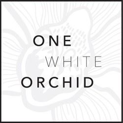 onewhiteorchid