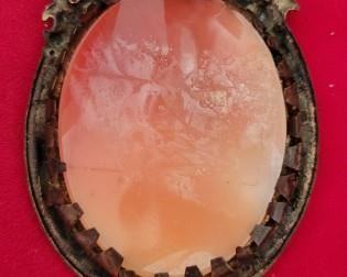 Hand carved Cameo Carnelian Shell