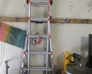 Little Giant Ladder