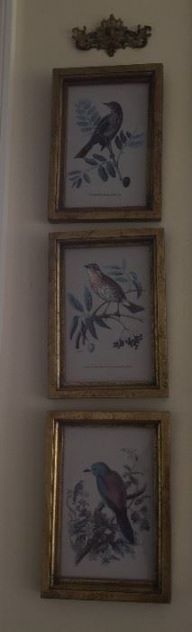 Set of bird prints.