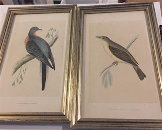 Framed bird prints.