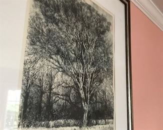Herbert Lewis Fink (1921 - 2006) Artist: Hubert L. Fink Title: "Old Oak" Medium: Hand Embellished Etching Circa/Year: 1974 Signature Type: Signed Signature Location: Lower Right Edition: 48/100 Site Measurement: 19.5x15.5.