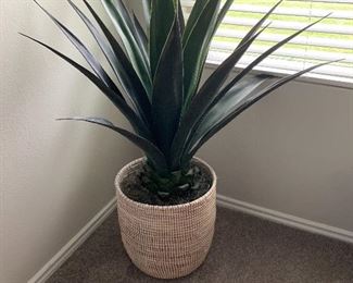 $65- Artificial succulent plant