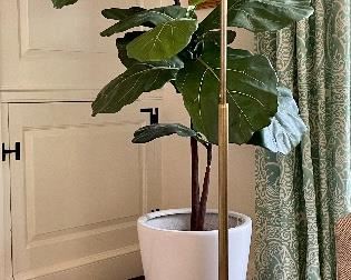 Item 24:  Adjustable Brushed Gold Standing Floor Lamp - 48":  $165