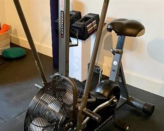 Item 59:  Schwinn Airdyne Evo Comp Bike: $395