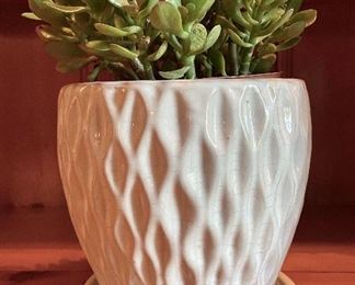 Item 135:  Planter with Succulent:  $18