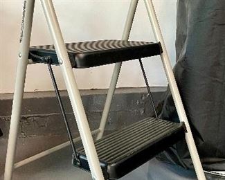 Item 145:  Step Ladder:  $12