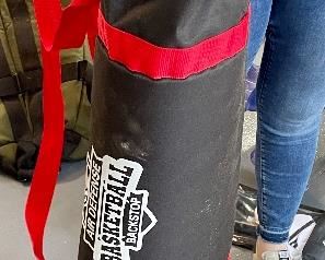 Item 163:  Air Defense Basketball Backstop: $95