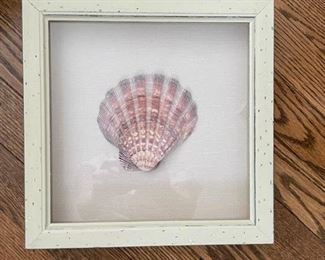 Framed Scallop Shell.