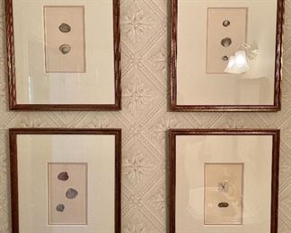 4 shell prints prints 