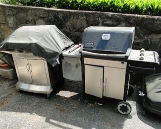 Weber Grill