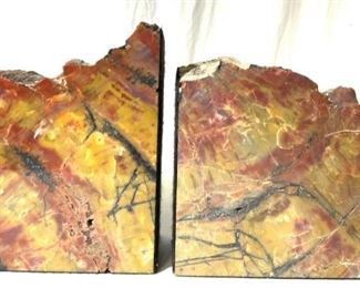 Large Pair Petrified Wood Bookends
