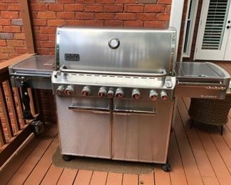 Deluxe Weber Summit Grill