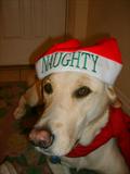 Happy Merry Quanmas ??