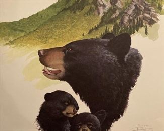 Black Bear by Ray Harm