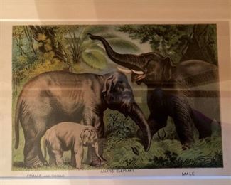 Framed elephant art
