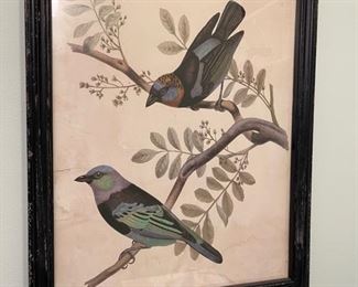 vintage bird lithograph