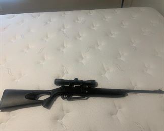 Winchester BB Gun: $40