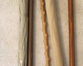 206 - Canes & umbrellas