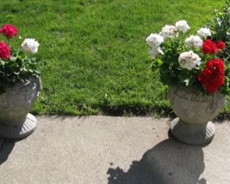 More cement planters