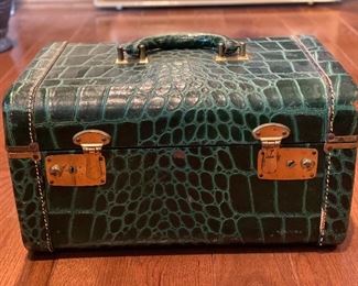 Crocodile carry case - $40 /obo