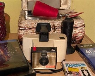 Vintage Polaroid 