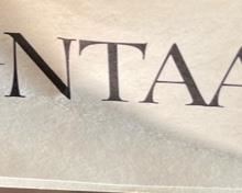 Montage Gilt Torso Statue on Stand #1 24.5x9.5x8.5in