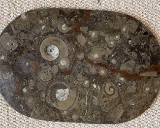 4pc Fossil Stoneware Serving Plates Ammonites & Orthoceras Platters	Lg:20x12in<BR>17x11in
