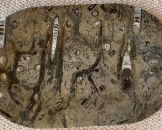 4pc Fossil Stoneware Serving Plates Ammonites & Orthoceras Platters	Lg:20x12in<BR>17x11in
