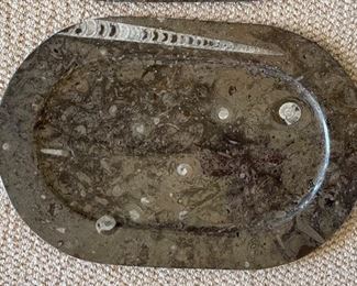 4pc Fossil Stoneware Serving Plates Ammonites & Orthoceras Platters	Lg:20x12in<BR>17x11in
