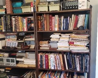 Lots of antique and newer books