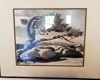 1940's Ansel Adams Print