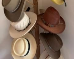 Hats/hatbands, including Stetsons