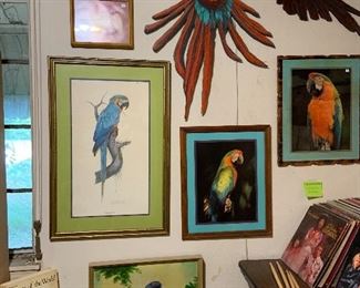 Parrot wall art