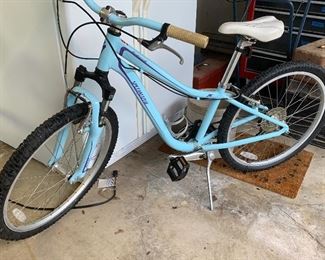 Classic lady’s bike
