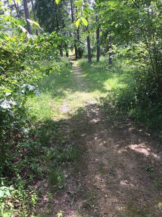 Bill & Jean Asher Estate Sale in Vienna, MO starts on 6/4/2021