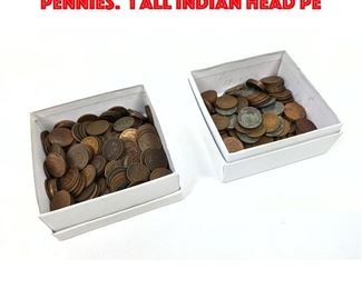Lot 119 2 Mixed lots of American Pennies. 1 all Indian head pe