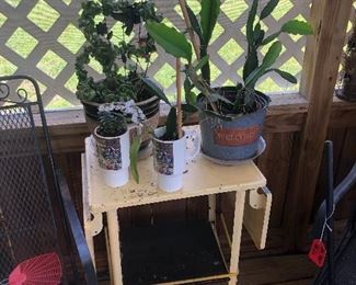 Plants and plant table 