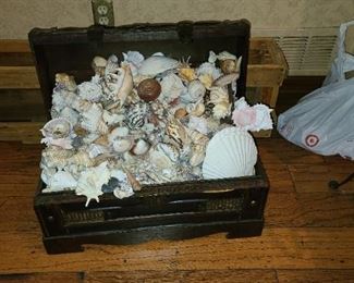 Treasure Chest full of seashells $120 OBO