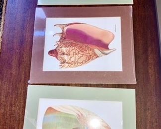 Signed shell prints