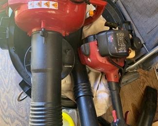 Leaf Blower, Weed Whacker. 