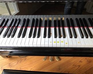 11. Yamaha Polished Ebony Baby Grand Player Piano GC1 serial no. 6050846 (5'3")