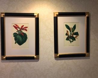 84. Pair of Framed Giclee Botanicals (16" x 20")